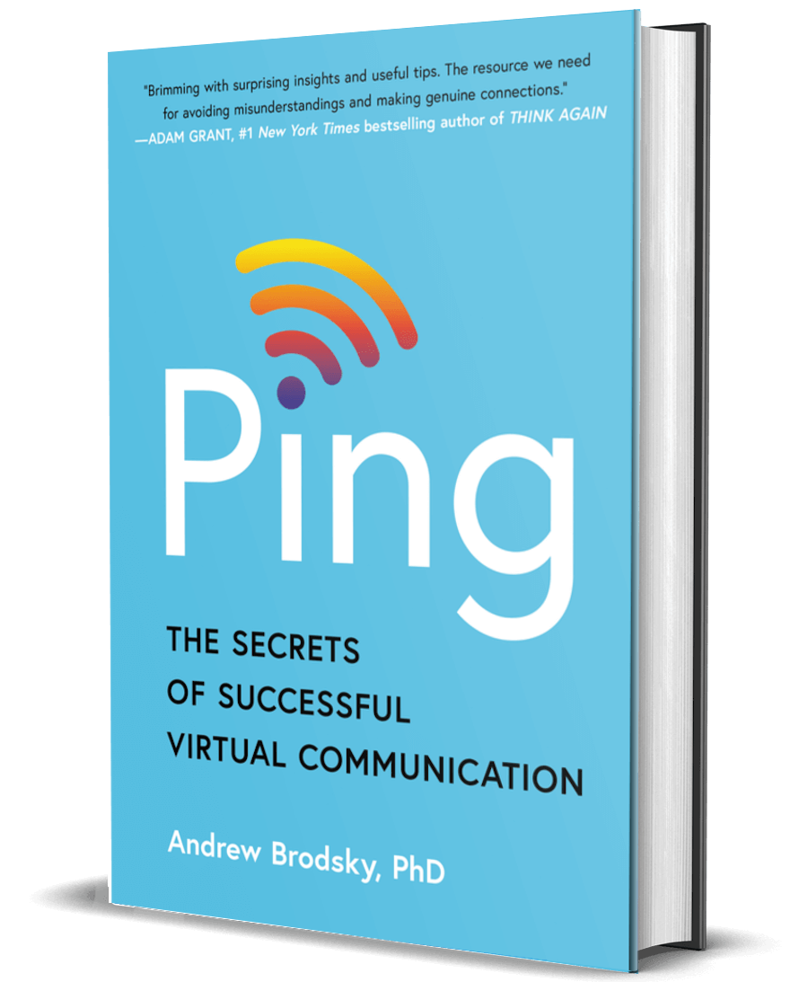 Ping book cover