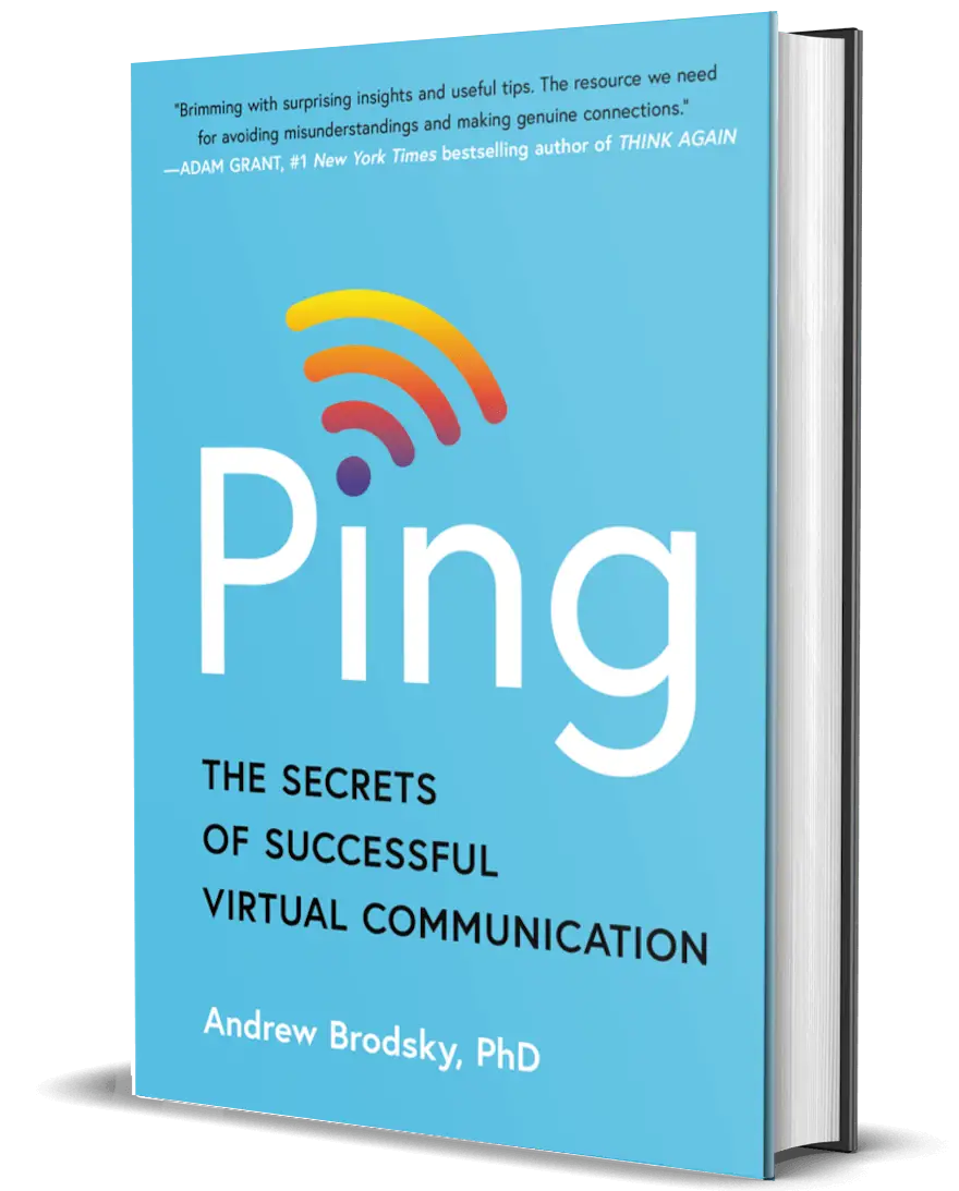 Ping book cover