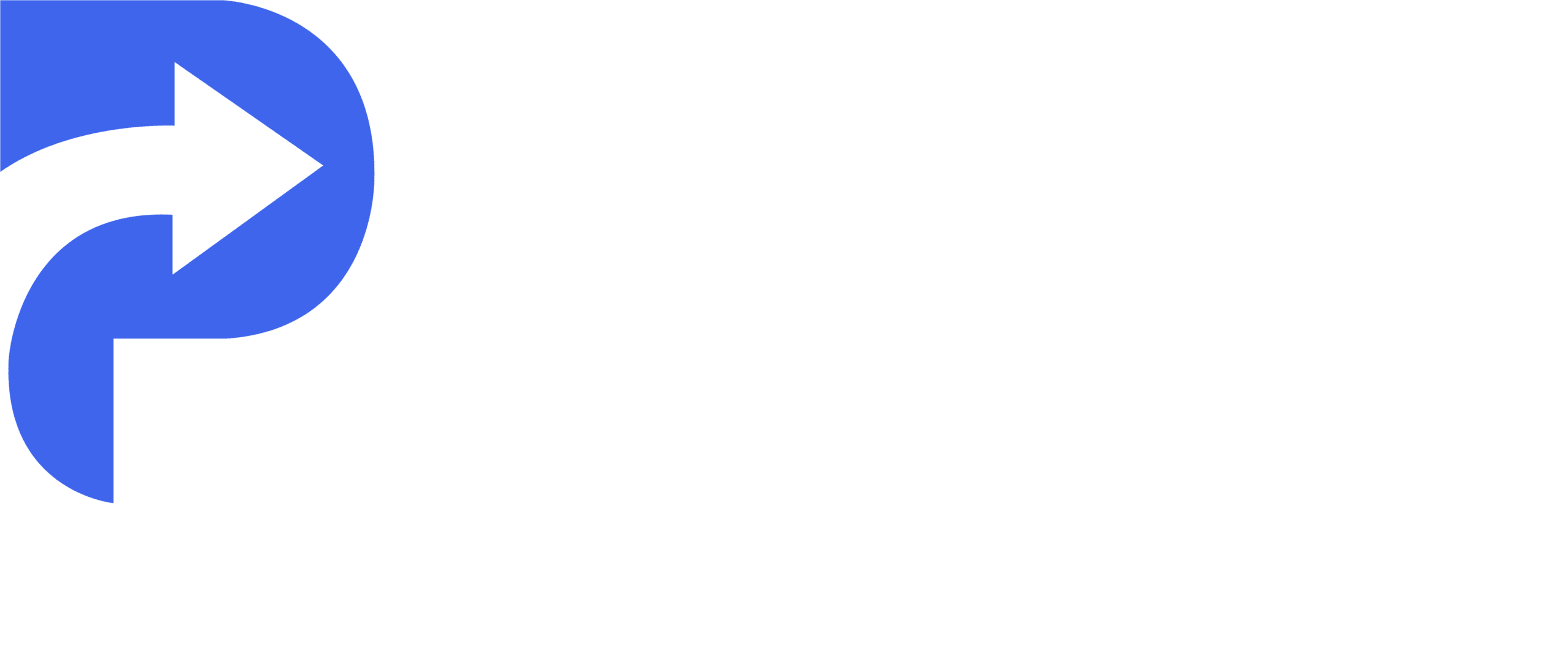 Ping Group Logo